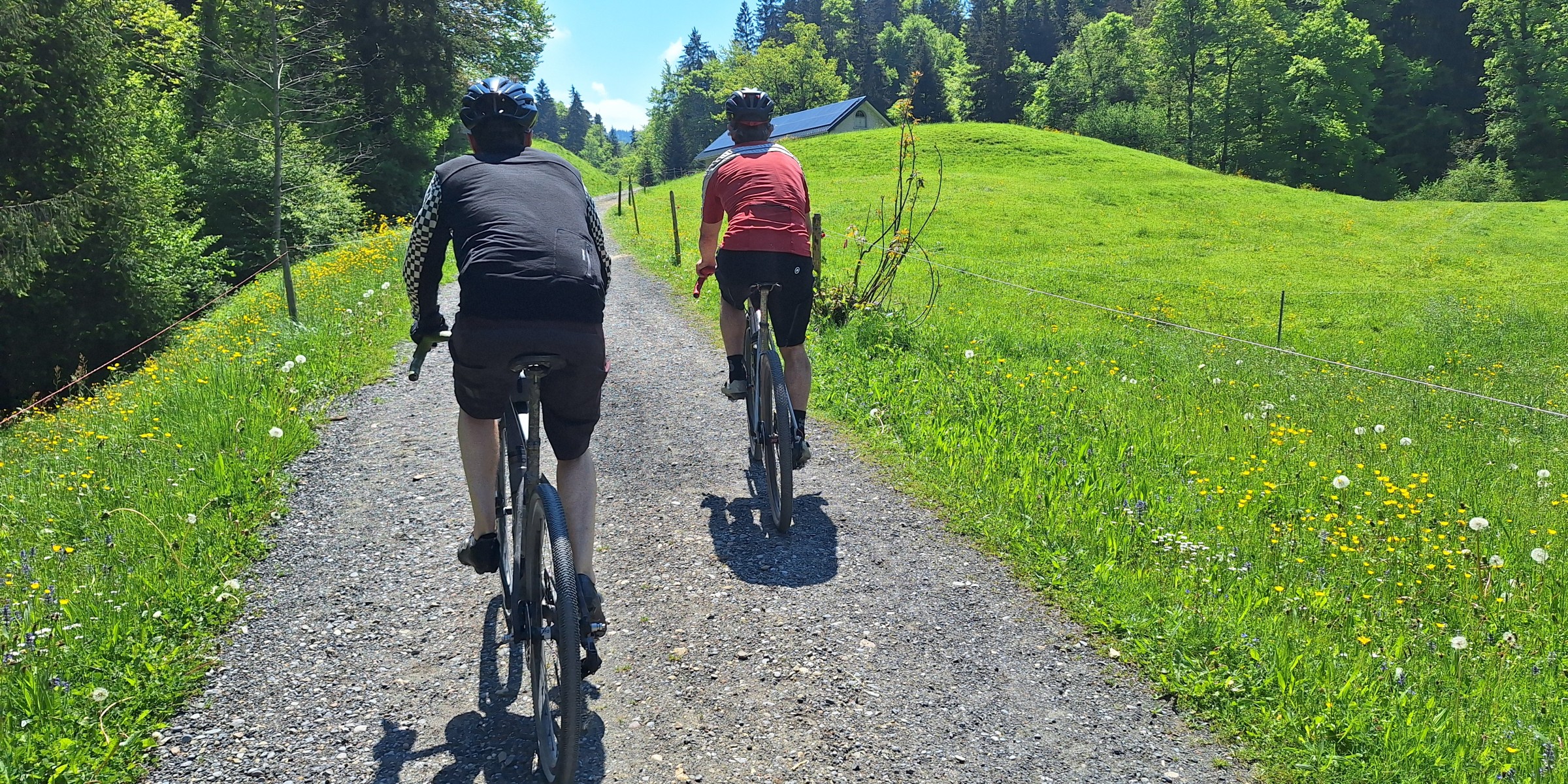 Foto zum Beitrag «4flüsse»