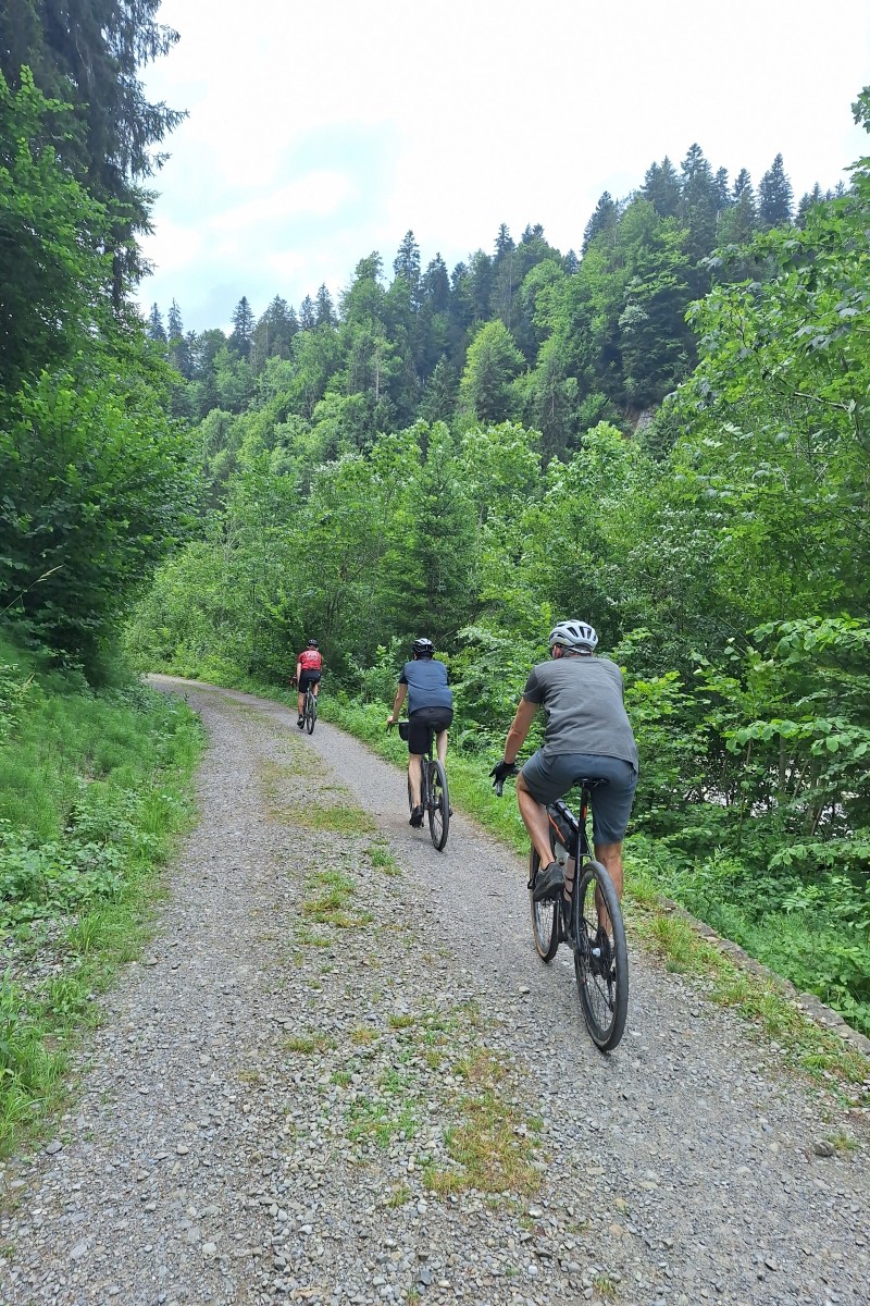 Foto zum Beitrag «bregenzer ach - schöner mann»