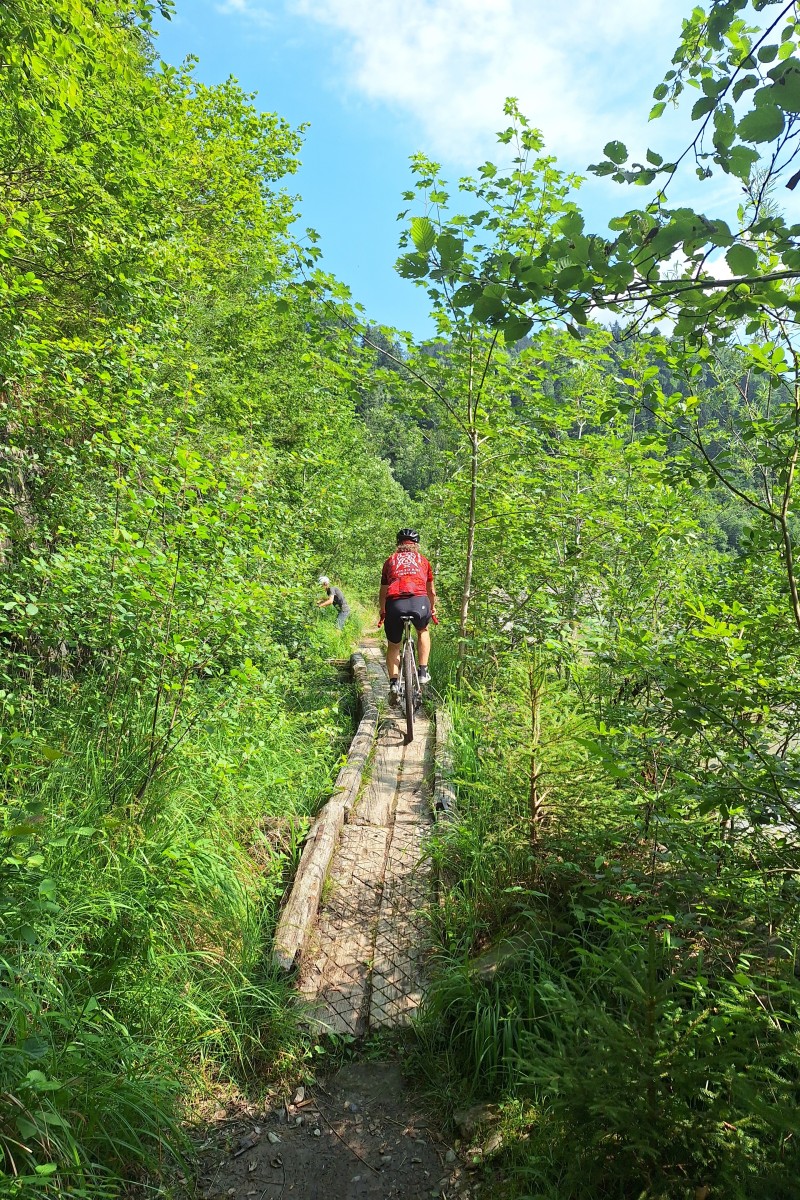 Foto zum Beitrag «bregenzer ach - schöner mann»