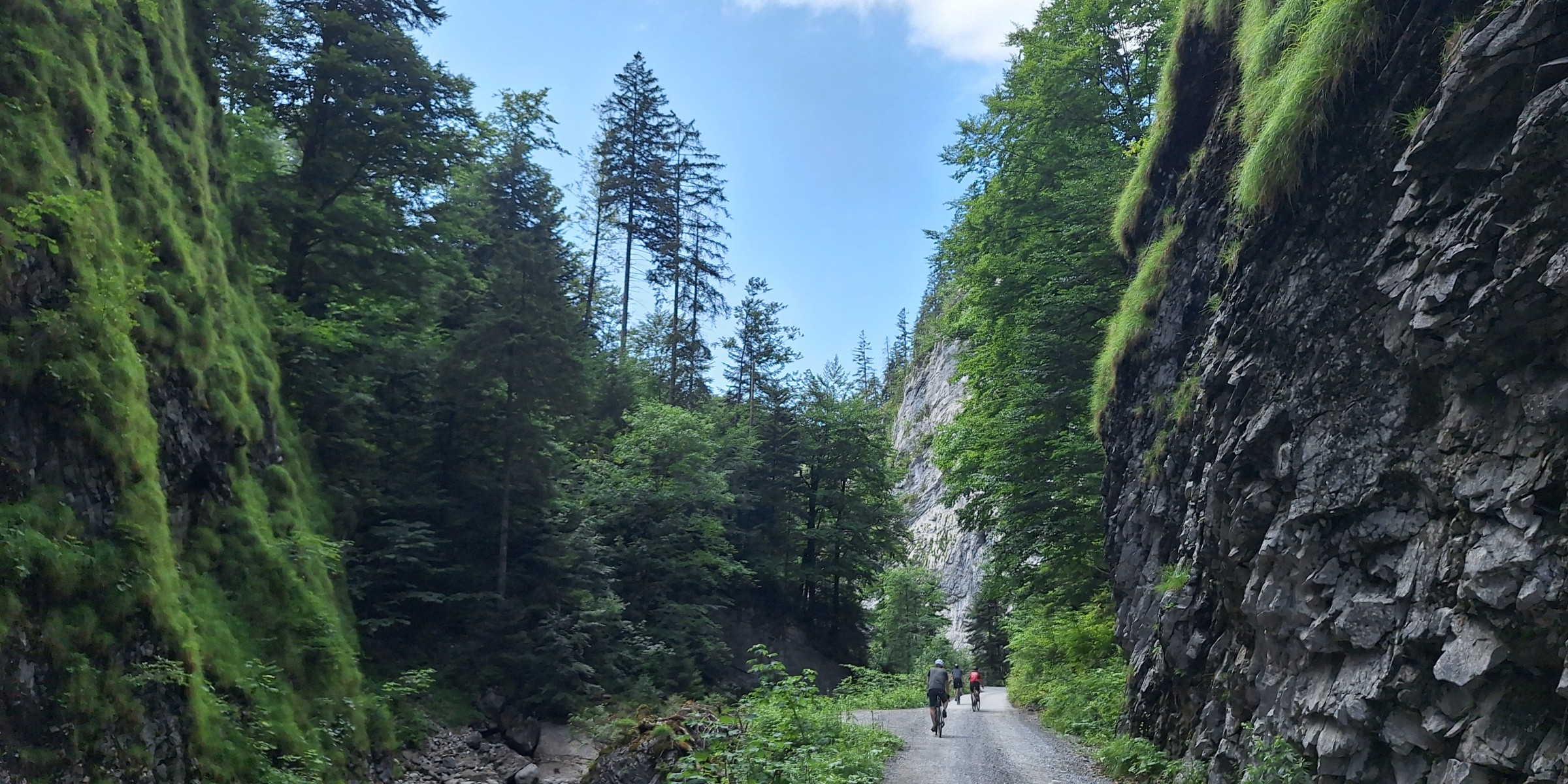 Foto zum Beitrag «bregenzer ach - schöner mann»