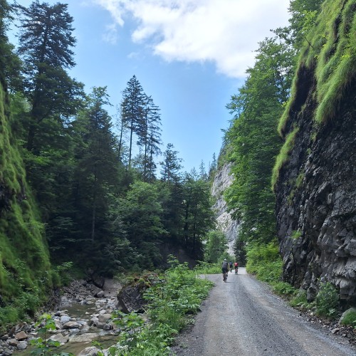 Teaserfoto zum Beitrag «bregenzer ach - schöner mann»