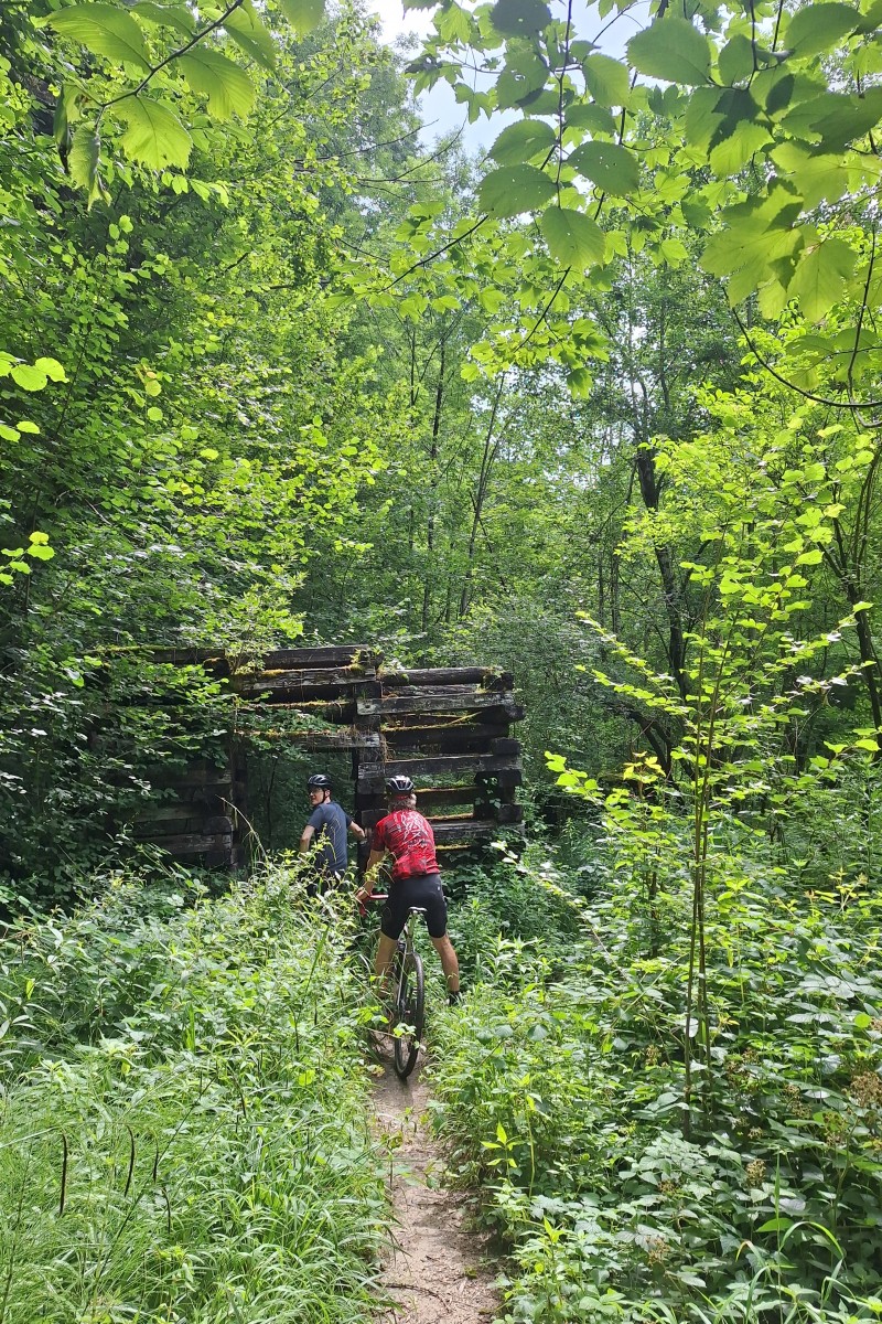 Foto zum Beitrag «bregenzer ach - schöner mann»