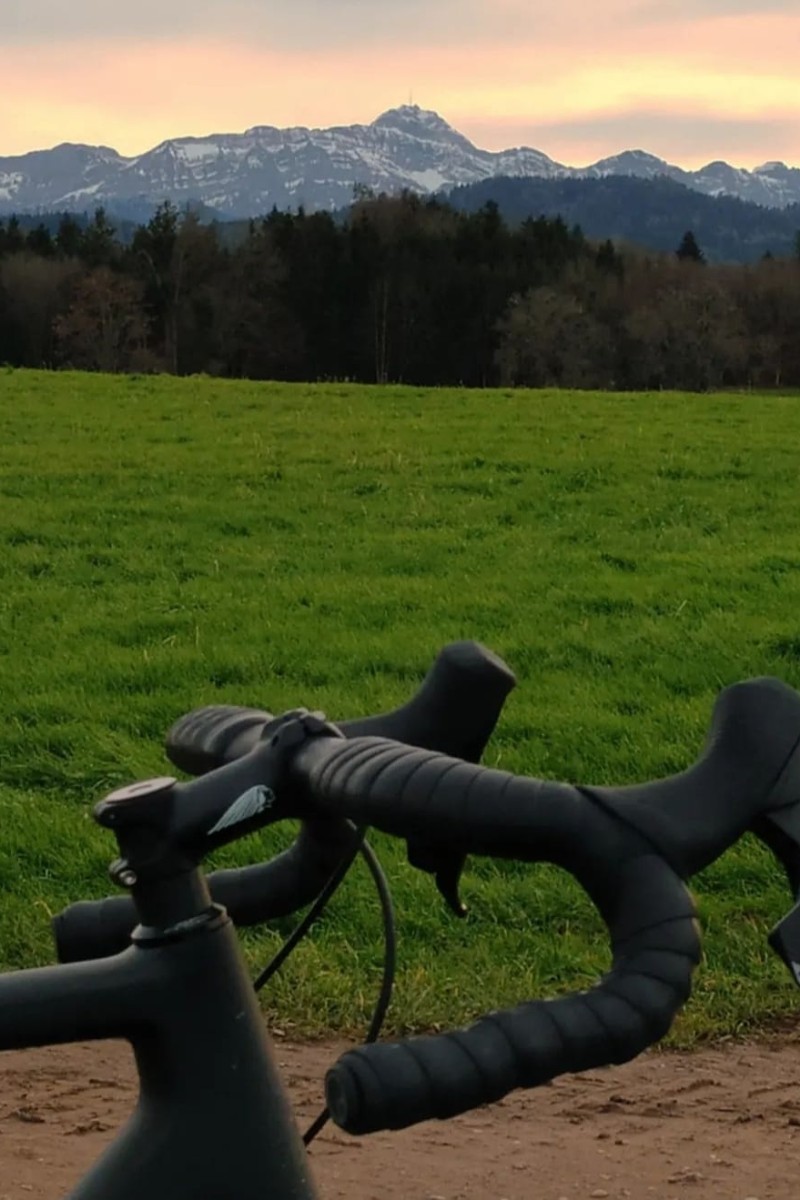 Foto zum Beitrag «Danis Liebling»