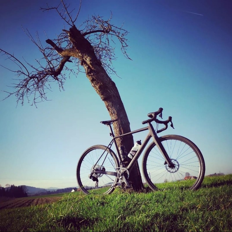 Foto zum Beitrag «Danis Liebling»