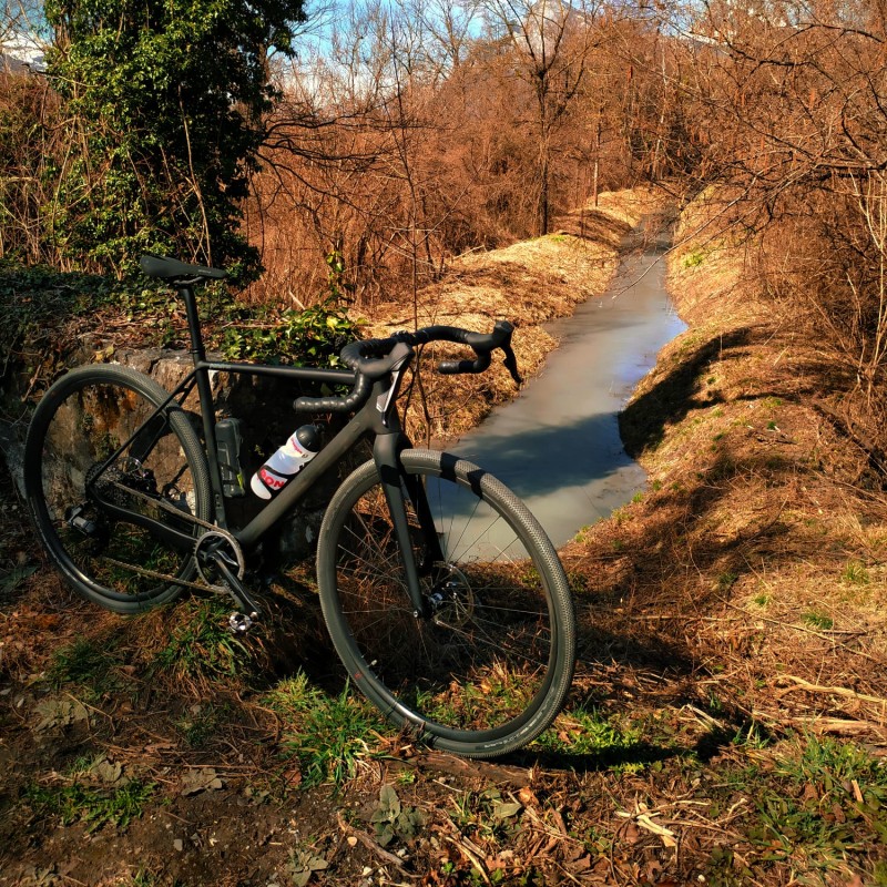 Foto zum Beitrag «Danis Liebling»