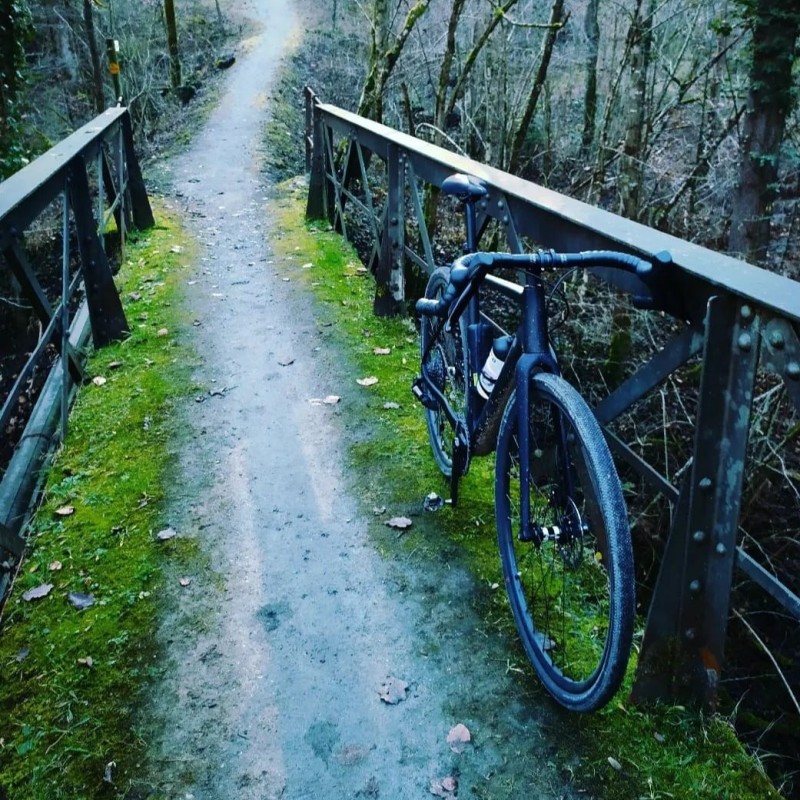 Foto zum Beitrag «Danis Liebling»