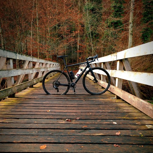 Teaserfoto zum Beitrag «Danis Liebling»