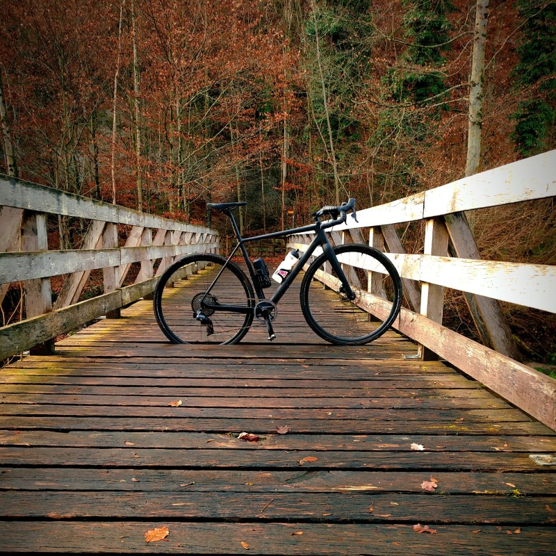 Foto zum Beitrag «Danis Liebling»