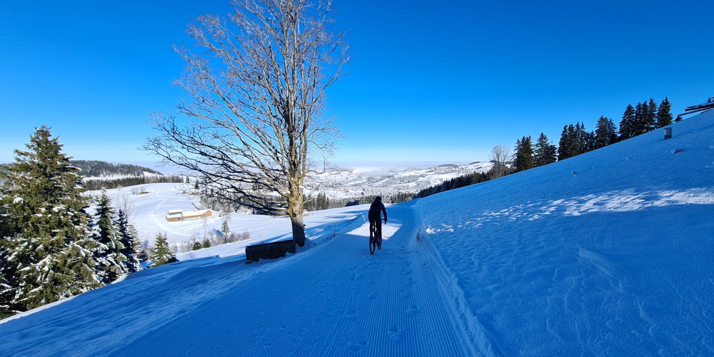 Foto zum Beitrag «Ein Wintermärchen»