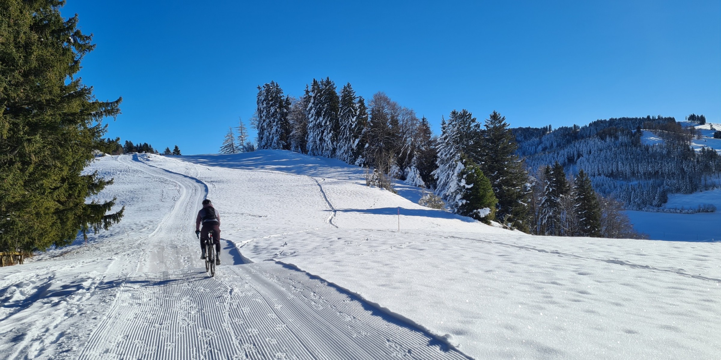 Foto zum Beitrag «Ein Wintermärchen»