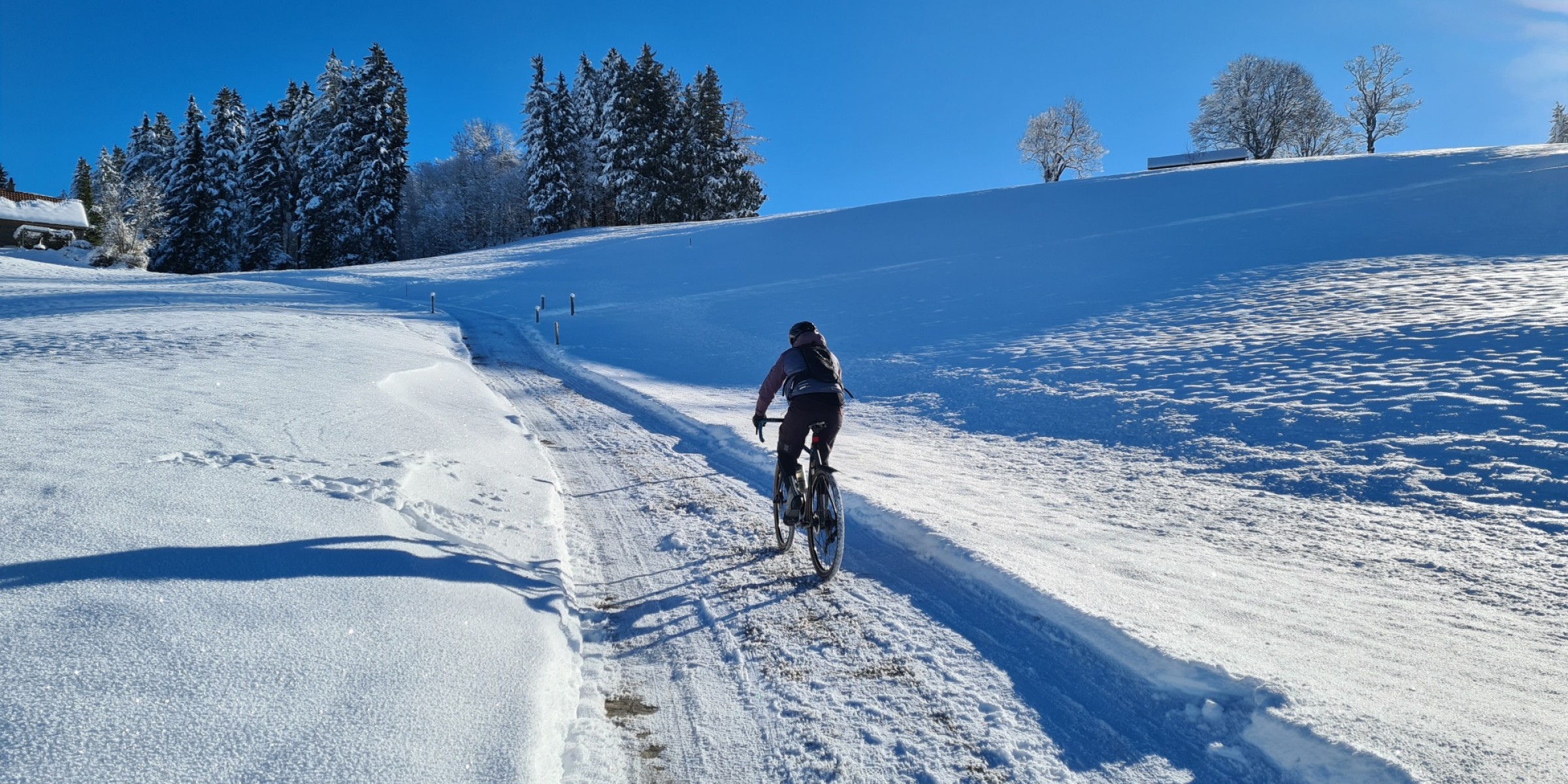 Foto zum Beitrag «Ein Wintermärchen»