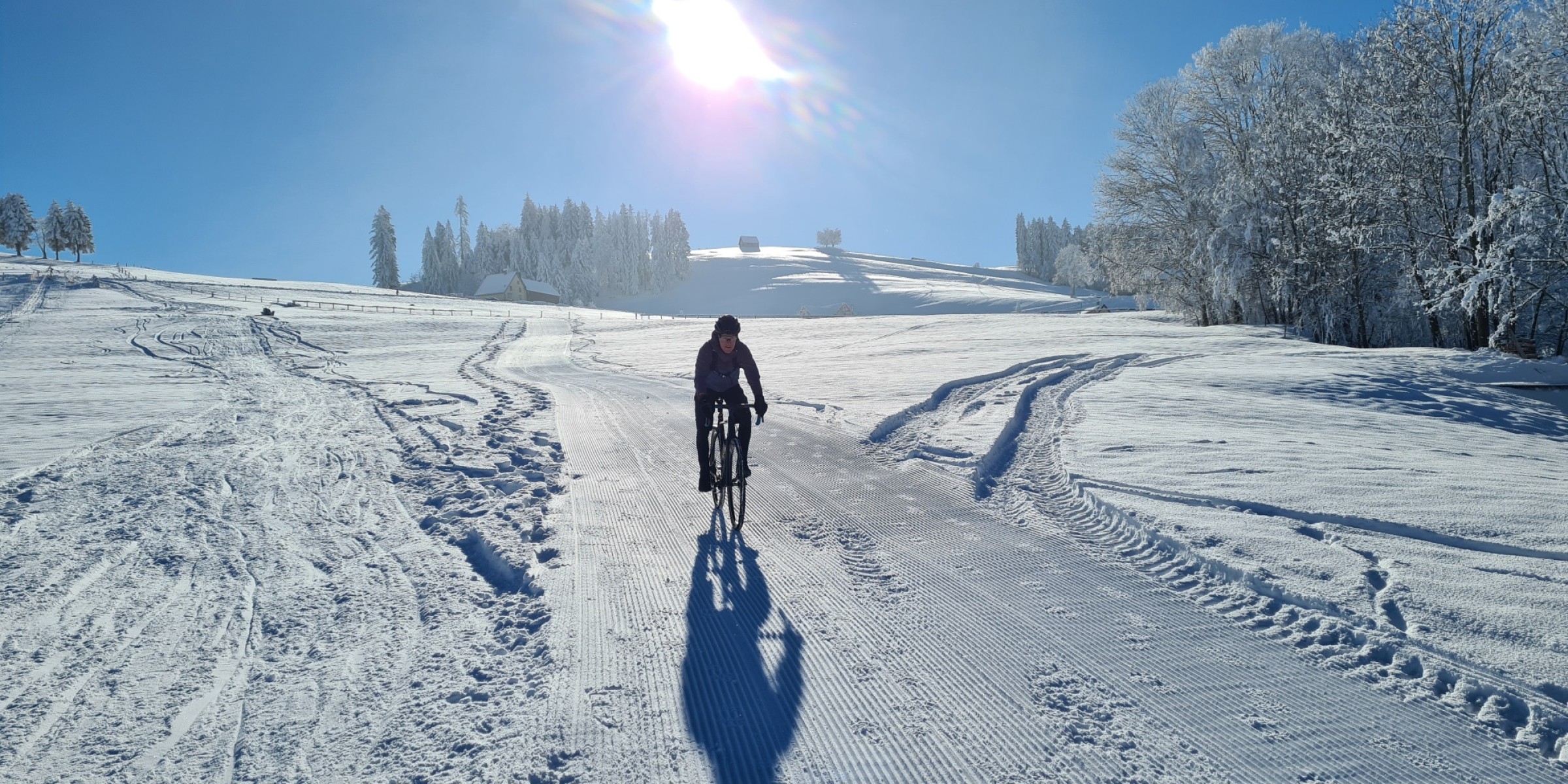 Foto zum Beitrag «Ein Wintermärchen»