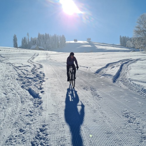 Teaserfoto zum Beitrag «Ein Wintermärchen»
