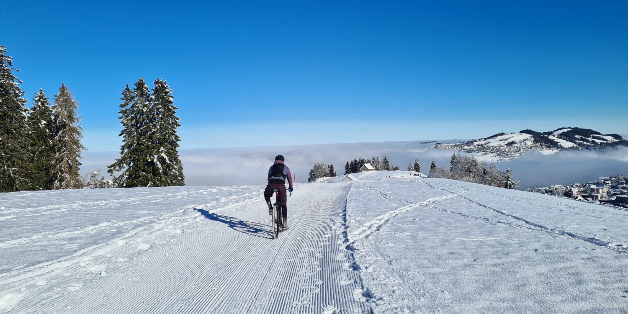 Foto zum Beitrag «Ein Wintermärchen»