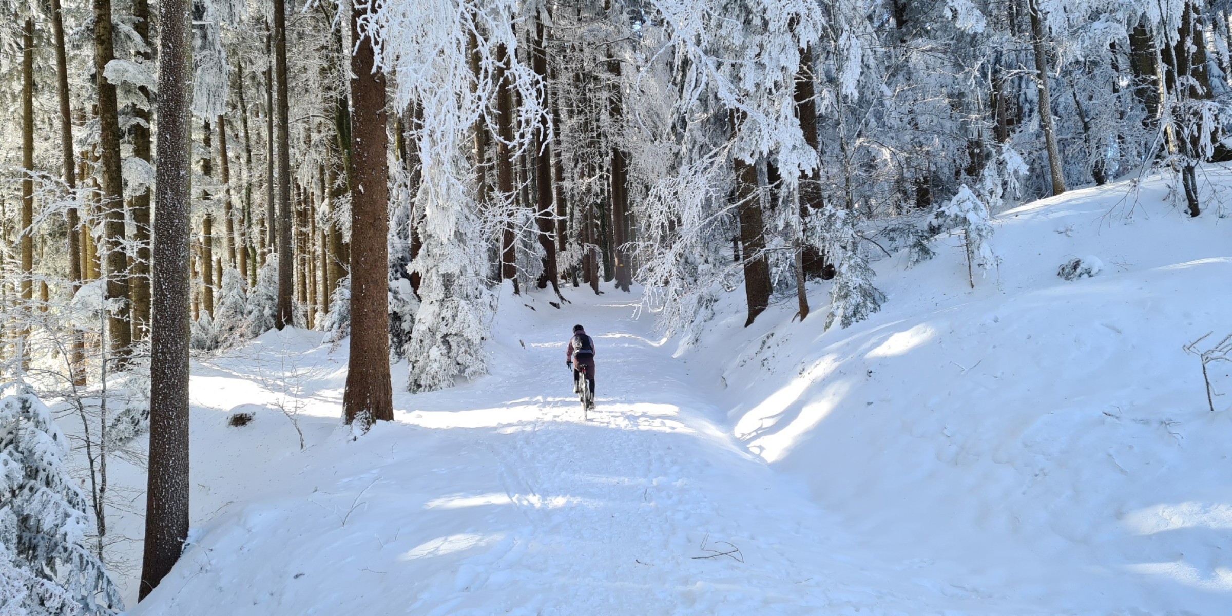 Foto zum Beitrag «Ein Wintermärchen»