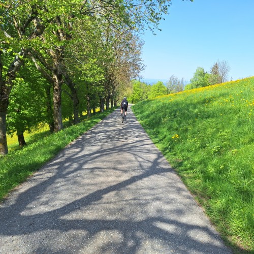 Teaserfoto zum Beitrag «F:A:F (freiamfreitag)»