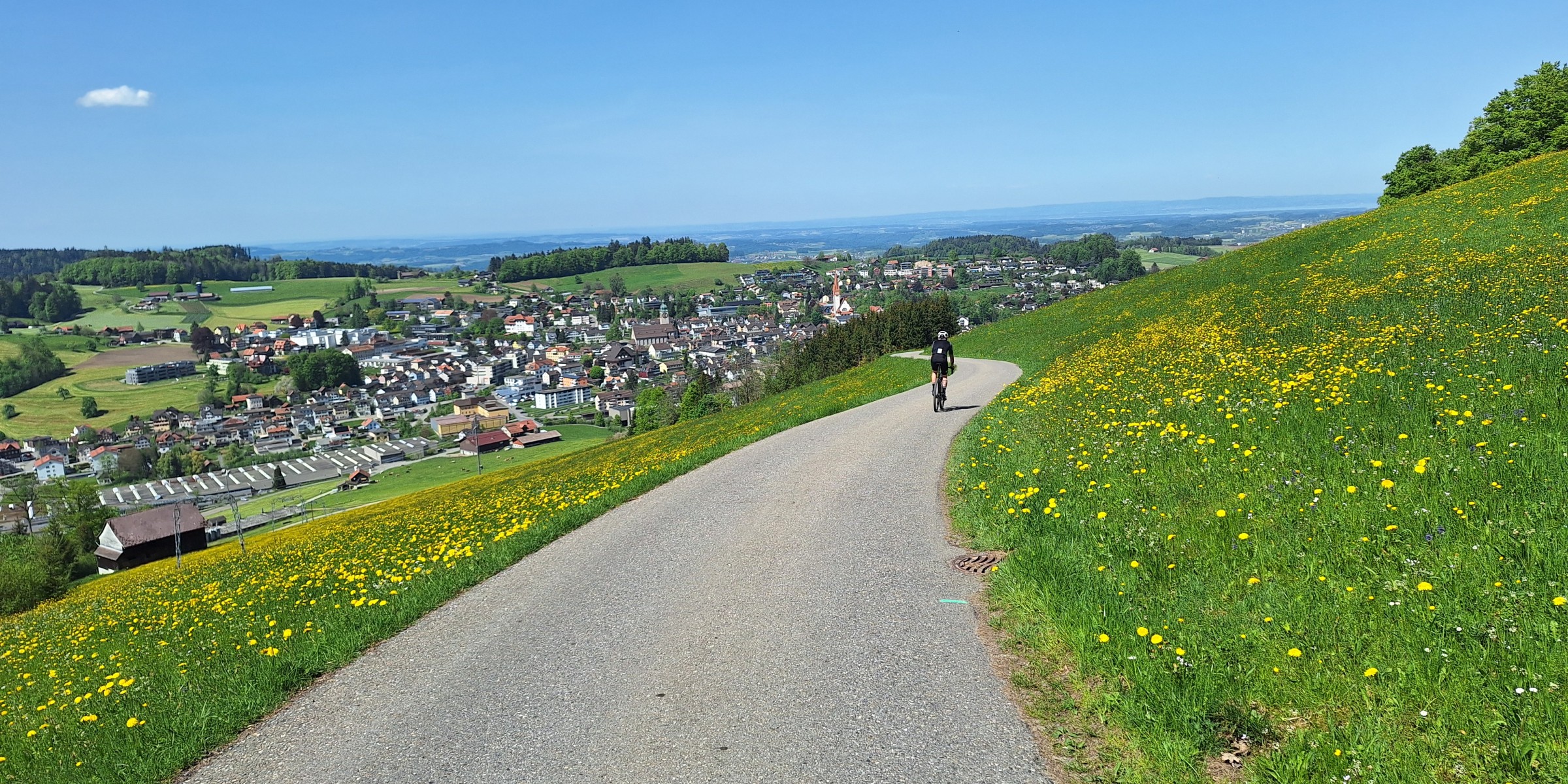 Foto zum Beitrag «F:A:F (freiamfreitag)»