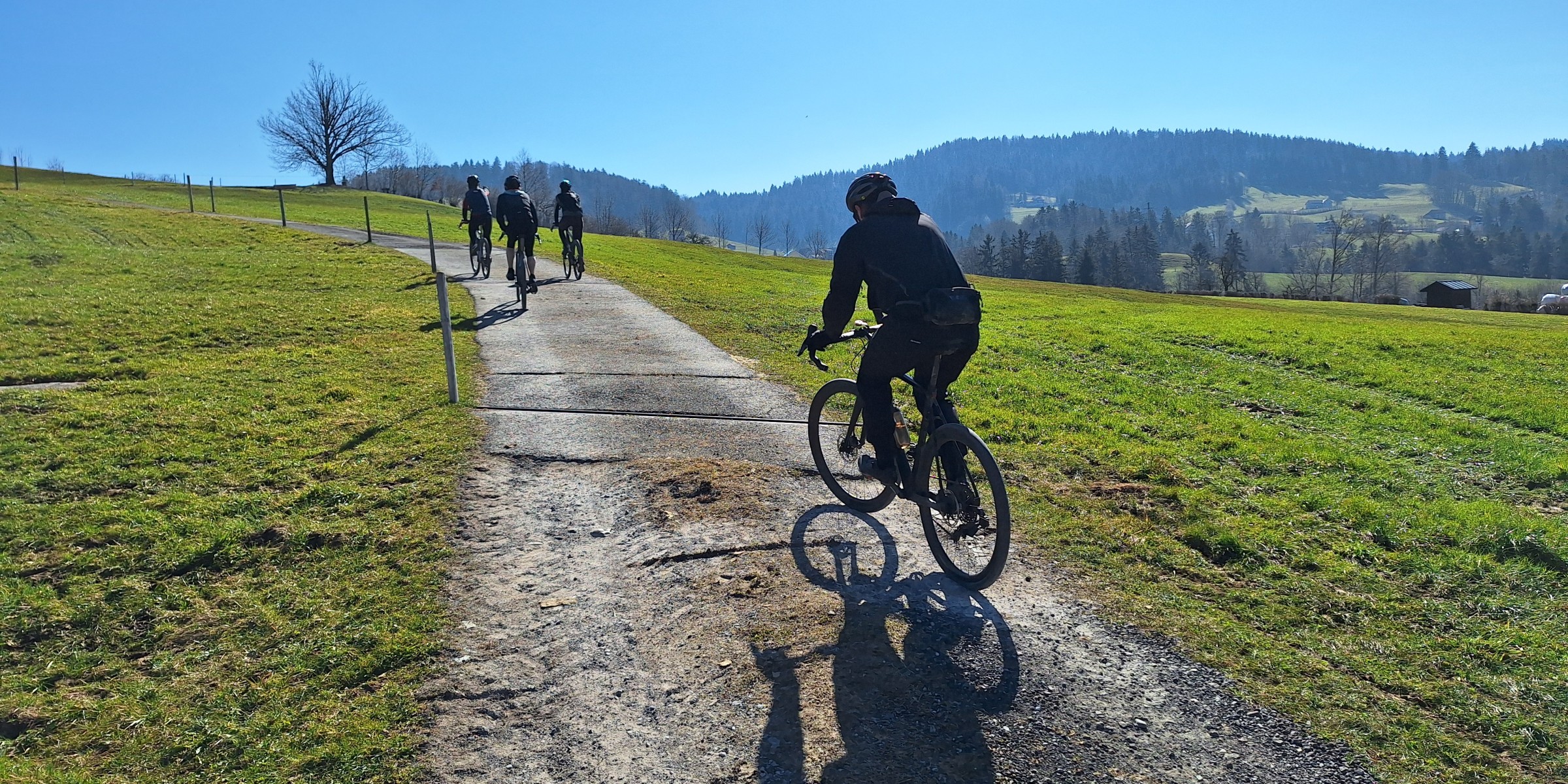 Foto zum Beitrag «frühlings gefühle»