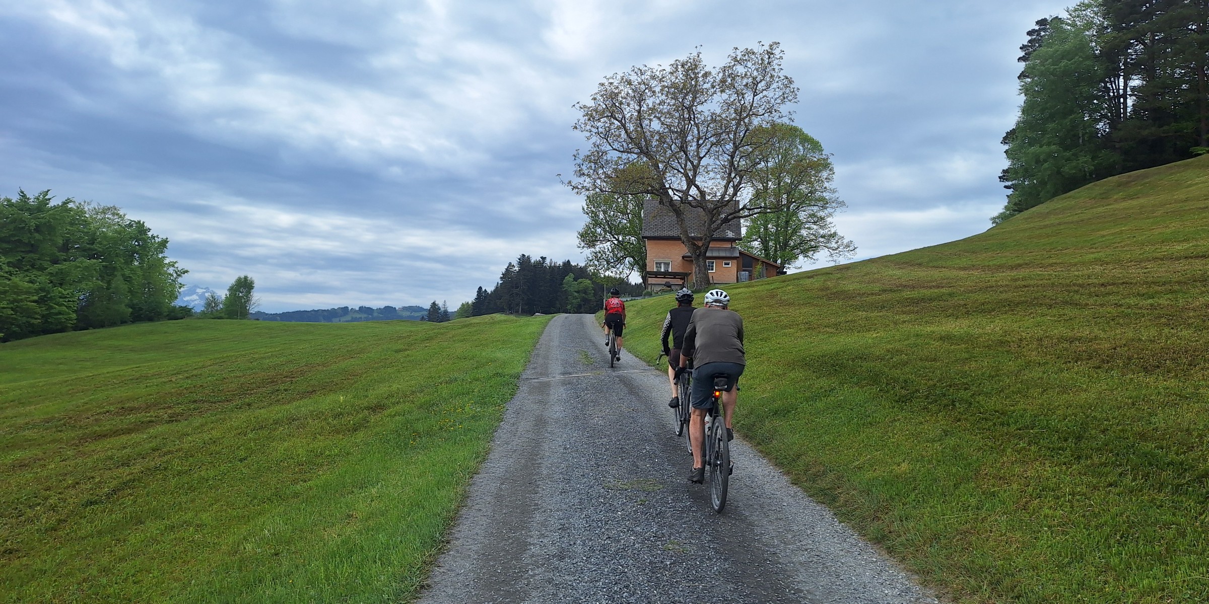 Foto zum Beitrag «fürdägemmi»
