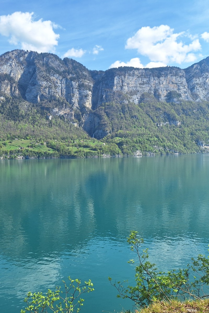 Foto zum Beitrag «grosse runde»