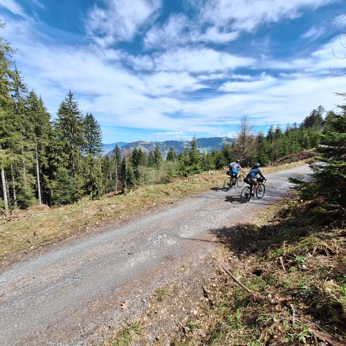 Teaserfoto zum Beitrag «ostergravel»