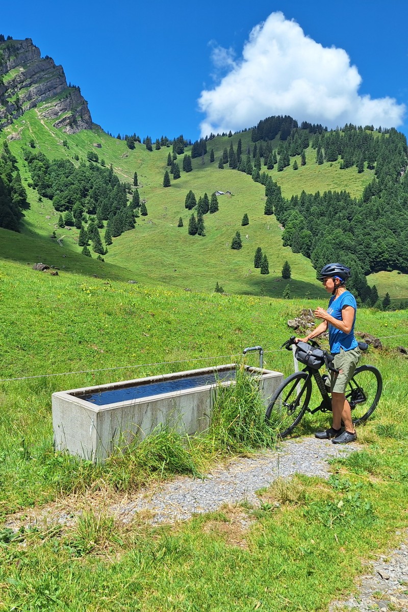 Foto zum Beitrag «risipass»