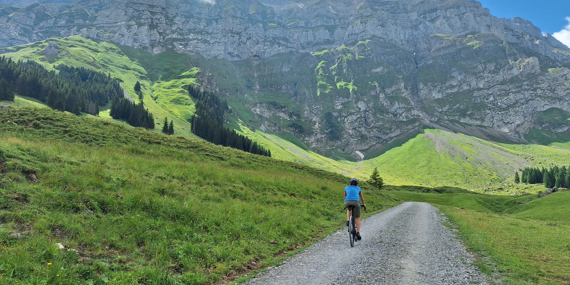 Foto zum Beitrag «risipass»