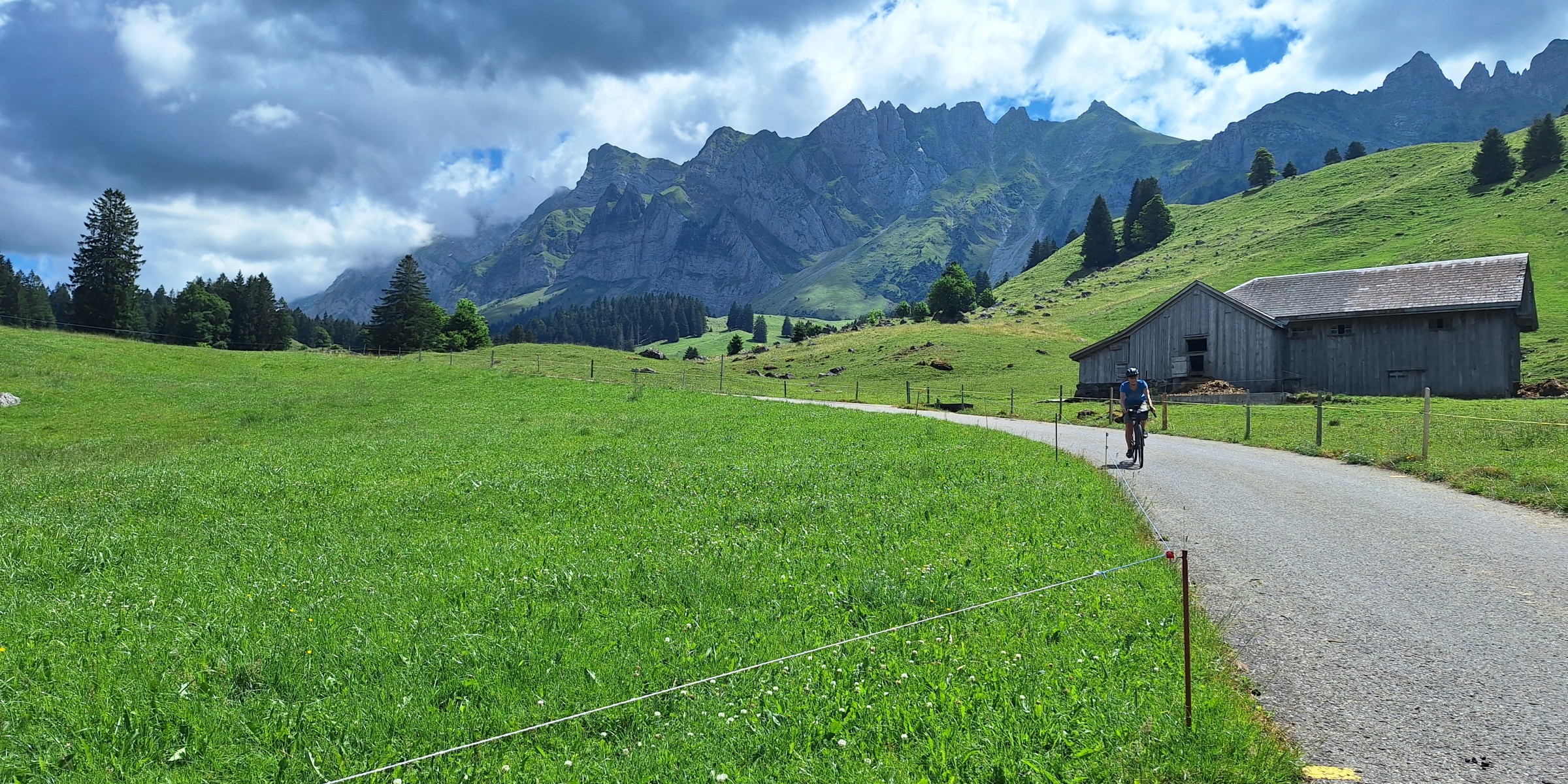 Foto zum Beitrag «risipass»