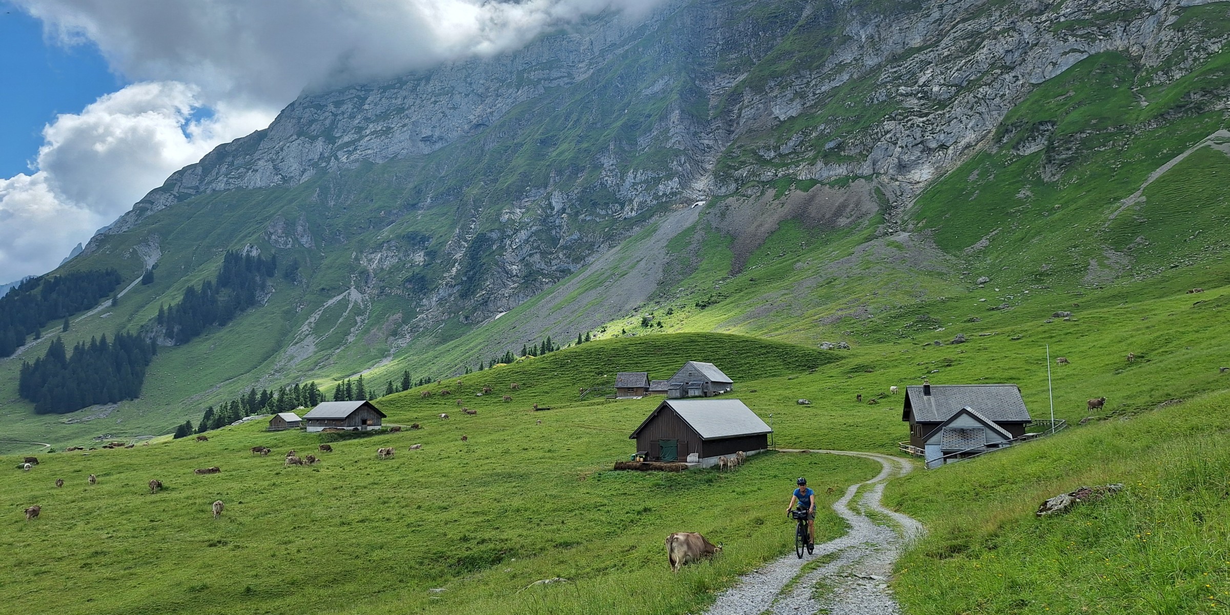 Foto zum Beitrag «risipass»