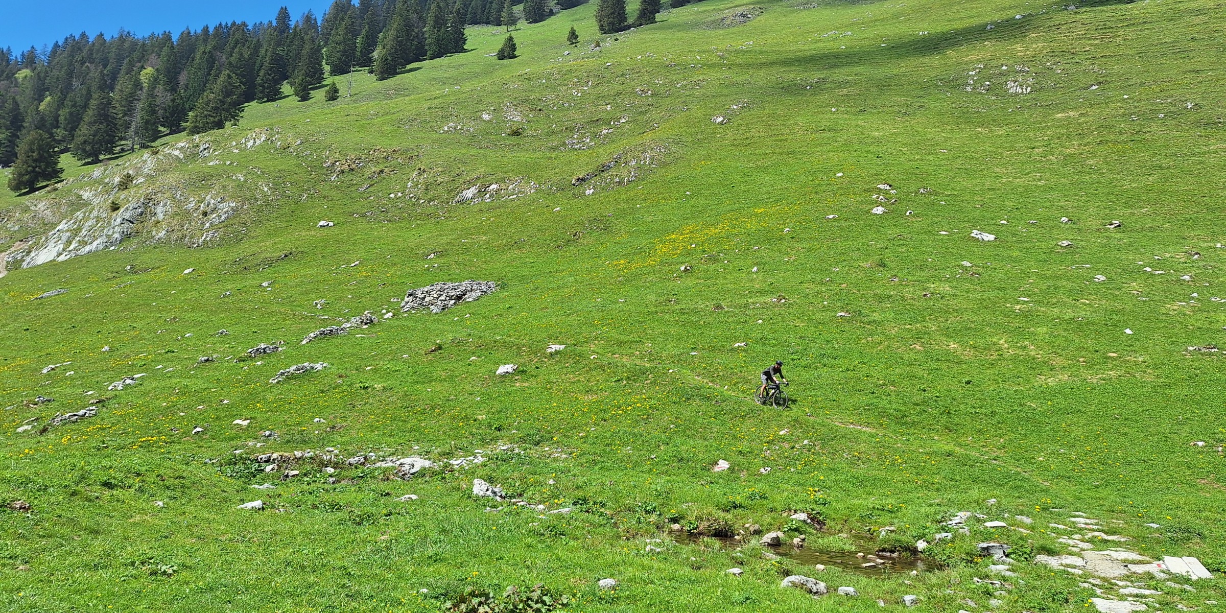 Foto zum Beitrag «rondom dä säntis»