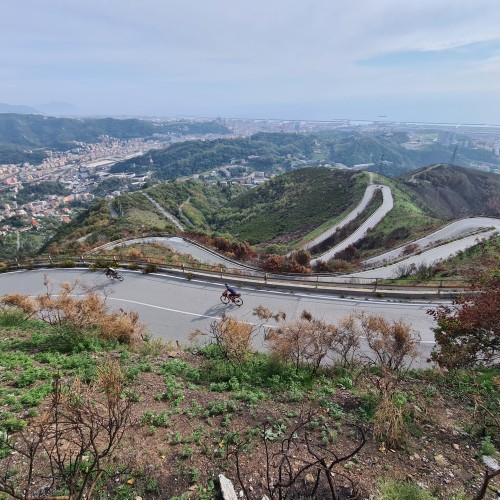 Teaserfoto zum Beitrag «St.Gallen Genua St.Gallen»