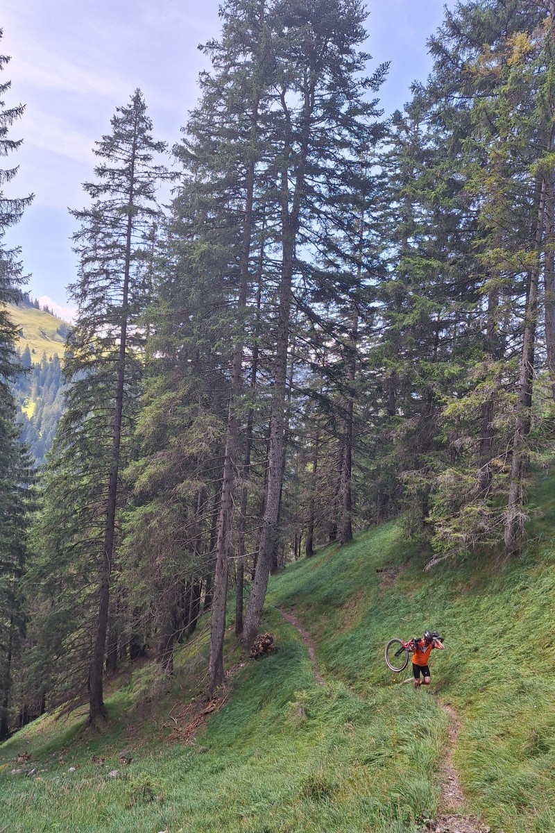 Foto zum Beitrag «st.gallen-sassförkle-st.gallen»