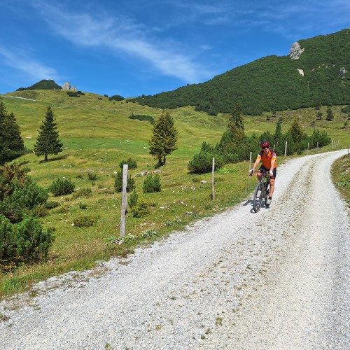 Teaserfoto zum Beitrag «st.gallen-sassförkle-st.gallen»