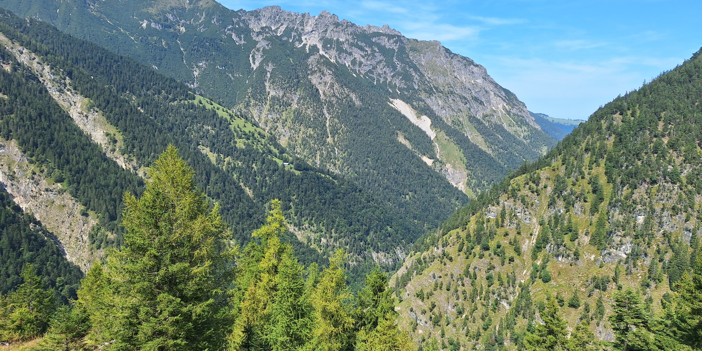 Foto zum Beitrag «st.gallen-sassförkle-st.gallen»