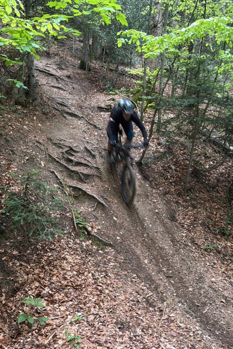 Foto zum Beitrag «stanton»