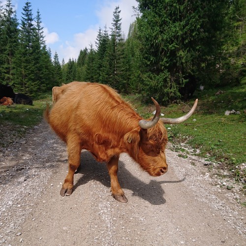Teaserfoto zum Beitrag «Vierländertour»