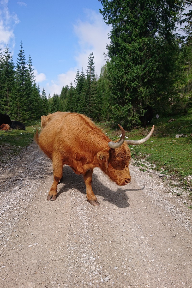 Foto zum Beitrag «Vierländertour»