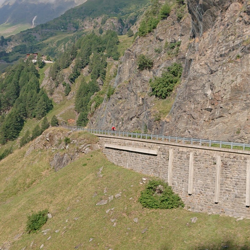Foto zum Beitrag «Vierländertour»