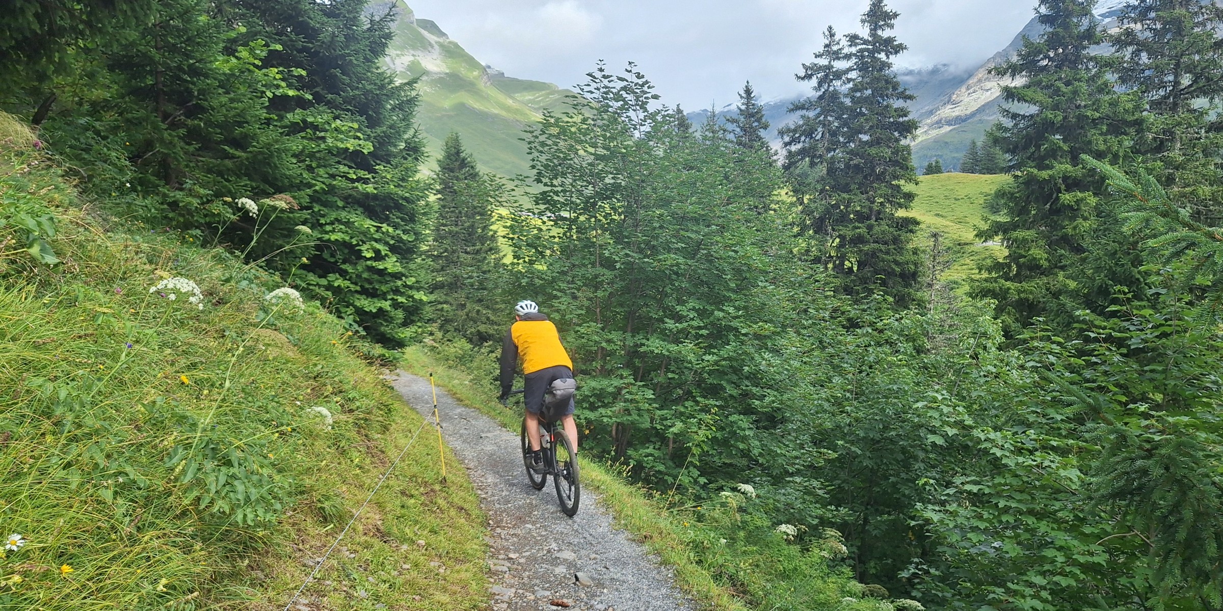 Foto zum Beitrag «wieder ins wallis»